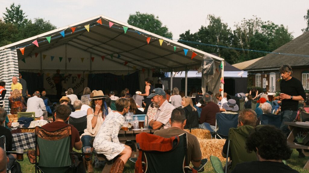 Country Music Festival image