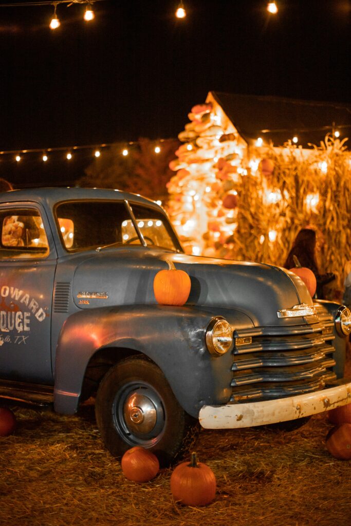 Fall Festival pumpkin patch