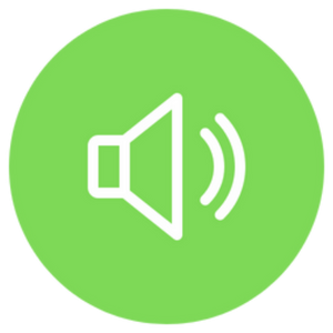 Speaker Icon