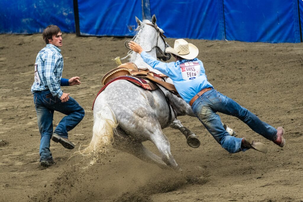 rodeo