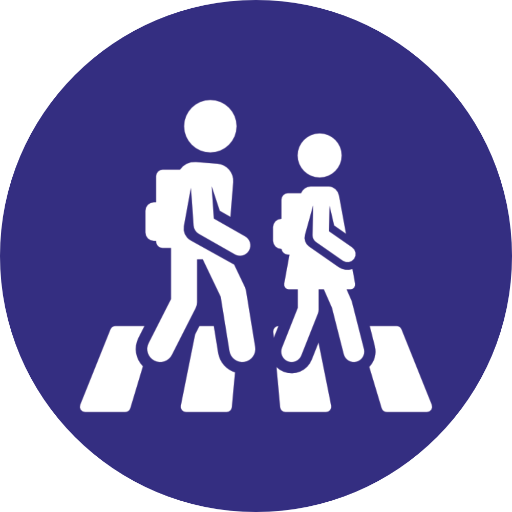 Pedestrian Crossing Busy