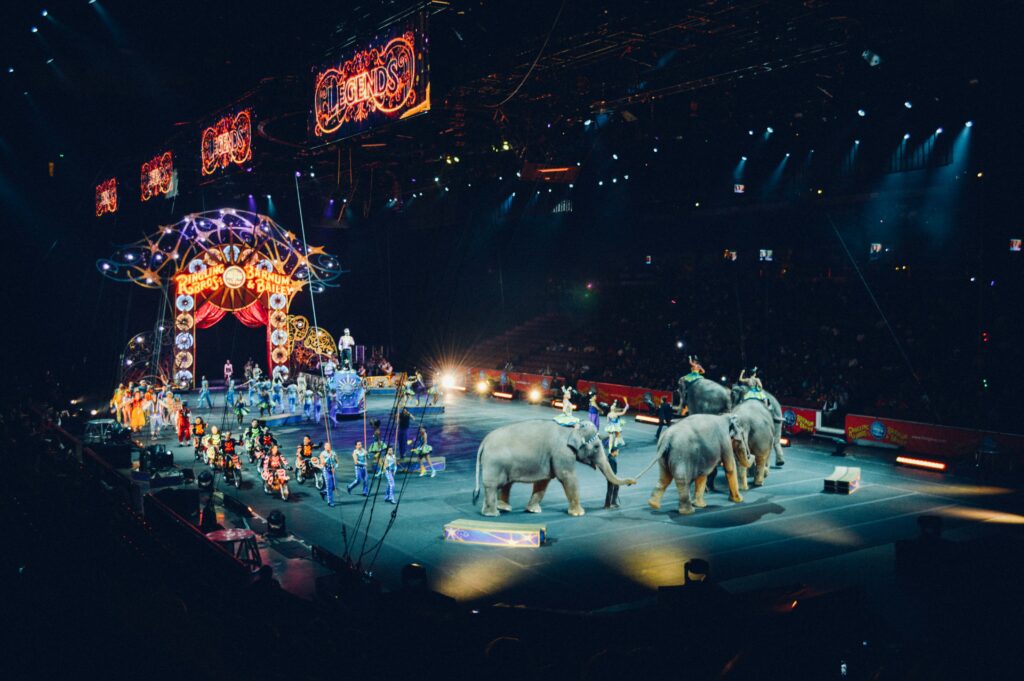cirque