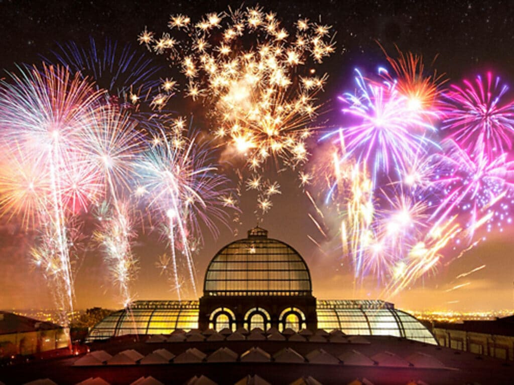 Ally Pally Bonfire Night