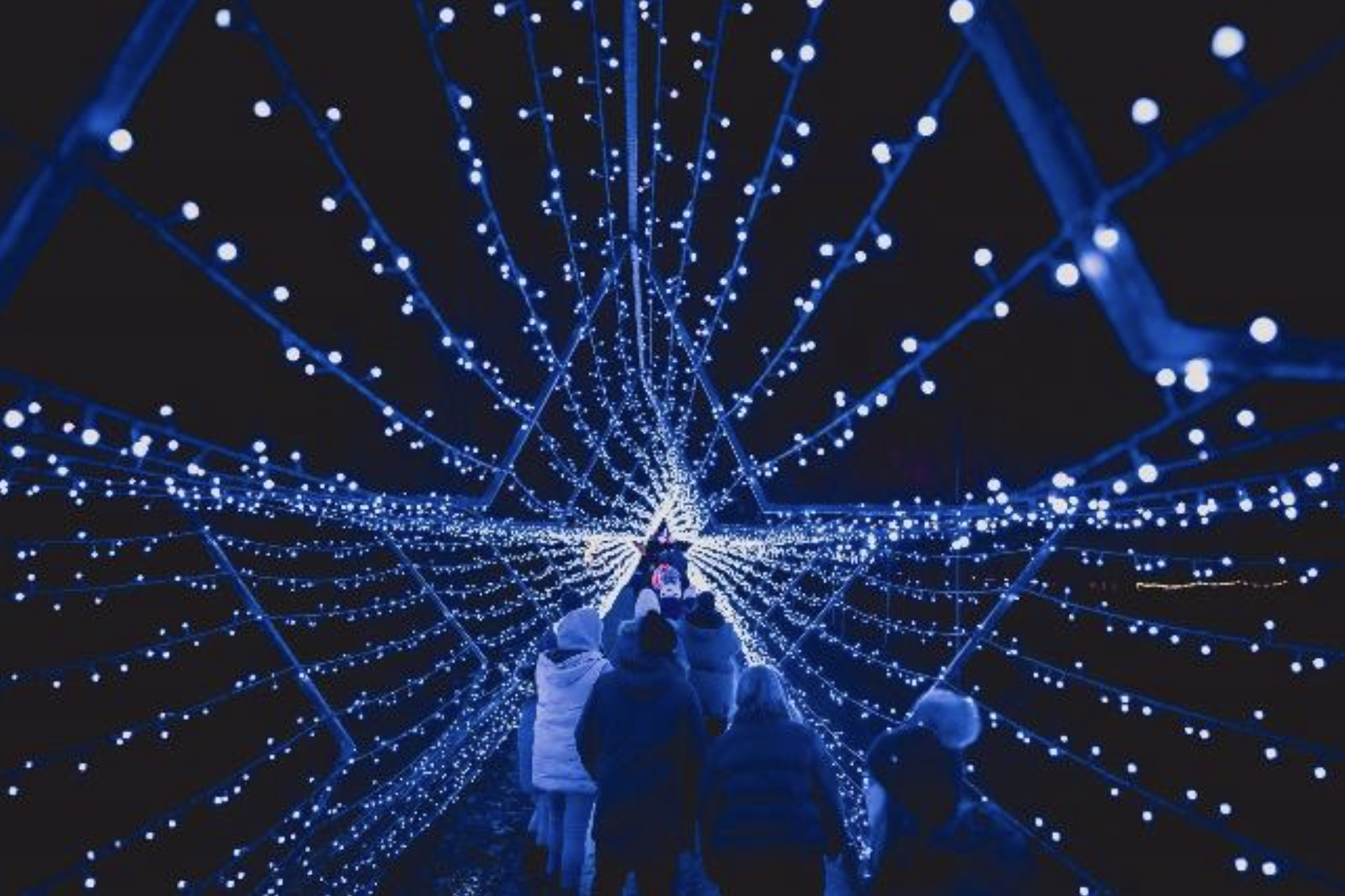 Real life event image from Starry Nights at Deans Castle